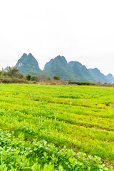 Mountains and farmland in Guilin, Guangxi Province, China