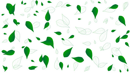 white background with green leaves