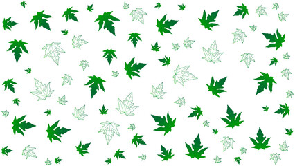 white background with green leaves