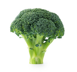 Broccoli placed on a white background