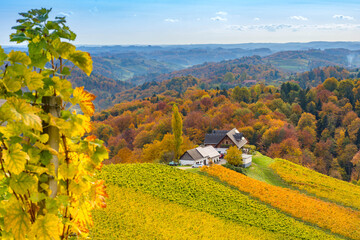 Autumn at South Styria vineyards (Austrian Tuscany), a charming region on the border between Austria and Slovenia with rolling hills,picturesque villages and wine taverns. Selective focus