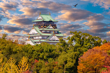 Fototapeta premium Japan. A white samurai castle rises above the trees. Osaka castle against the blue sky. Guide to Japan. Japanese castles. A white-and-green five-story building in Osaka.