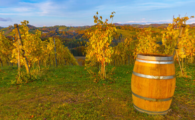 Autumn landscape with South Styria vineyards, known as Austrian Tuscany, a charming region on the...