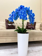 flowers in a vase