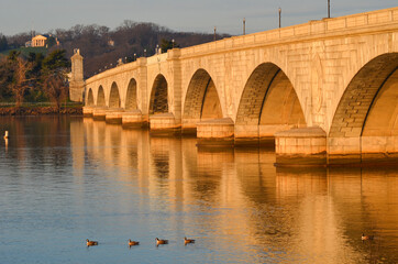 Fototapeta premium Memorial Bridge over Potomac River and duck family ride - Washington D.C. United States of America