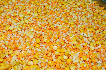 A pile of urad, masoor, toor or arhar, chana dal or lentils mixture.