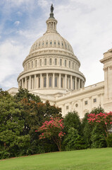 Obraz premium U.S. Capitol Building - Washington D.C. United States of America