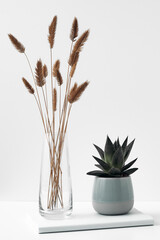 Transparent vase and houseplant on white paper, white background. Natural and eco-friendly materials in interior decor.