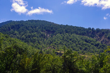 Forest covered mountains and blue sky.