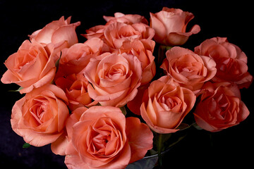Bouquet of red small roses on a black background.