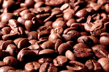 Coffee beans with smokecoffee beans in contrasting light. arabica and robusta. bright roast color