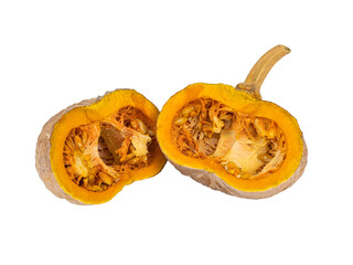 Pumpkin on a white background