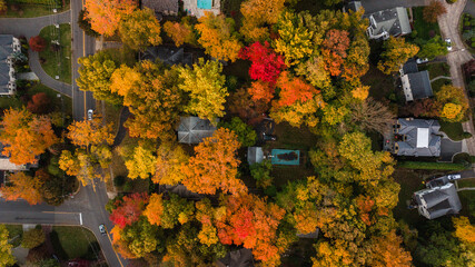 Fall Season