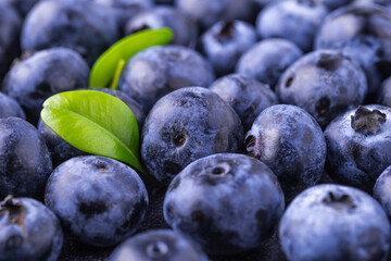 Fresh blueberry background. Blueberry Texture