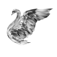 drawing bird swan on a white background © khius