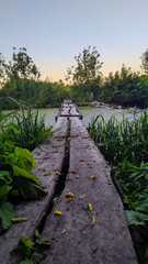 path to the river