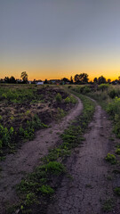 sunset over the field