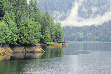 Fototapeta na wymiar Spring forest by the ocean coast. British Columbia.