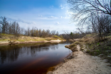 Nature awakening. Spring landscape with trees and grass on river.