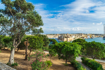 Fototapeta na wymiar Trees in the Herbert Ganado Gardens in Florian, Malta, with the City of Senglea and Grand Harbour in the background.