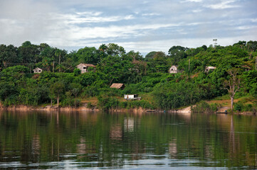 Fototapeta na wymiar Indigenous dwellings on the bank of the Amazon River