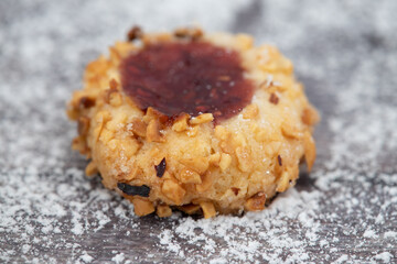 Close-up of Christmas cookie surrounded with powdered sugar