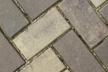 A close view of the brown and white brick path surface.