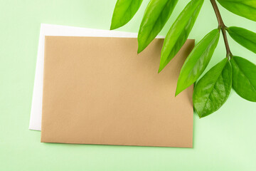 Blank brown paper card and fresh green leaves of eternity Zuzu plant or Zamioculcas zamiifolia on a pastel green background. Living green eco-friendly lifestyle. Copy space.