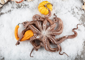 Raw Octopus on snowy counter in a store. Organic seafood.