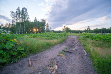 endless beautiful country gravel road in perspective
