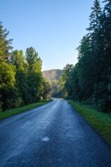 Fototapeta na wymiar endless beautiful country gravel road in perspective