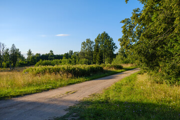 endless beautiful country gravel road in perspective