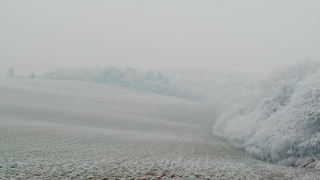 Winter Field, Prairie with dry vegetation, snow, fog, rime and frost. Camera pan left. ProRes 10Bit 422HQ mov.