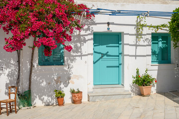 Fototapeta na wymiar Blooming bougainvillea flowers on street in Lefkes village on the island of Paros. Cyclades, Greece