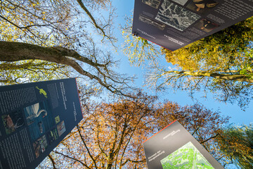 B&auml;ume im Herbst