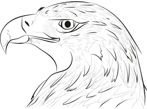 Aguila rostro 