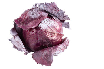 Fresh red cabbage isolated on white background, water drops, clipping path
