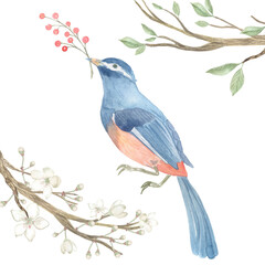 Watercolor Easter bird among flowering branches of trees. Perfect for printing, web, textile design, souvenirs, scrapbooking and other creative applications.