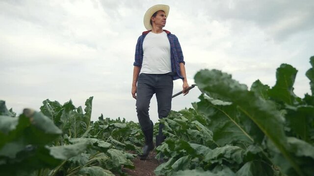 agriculture. man farmer in a rubber boots walks green field grass hoe. farmer worker goes home after harvesting crop working day agriculture. agribusiness subsistence agriculture
