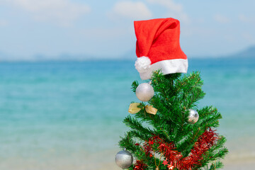 Spruce in a Santa hat on the beach. Close-up. New Year's and Christmas