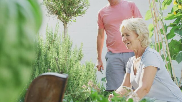 Smiling retired senior couple kneeling and working in the garden at home digging and pruning plants - shot in slow motion