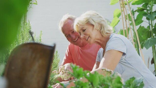 Smiling retired senior couple kneeling and working in the garden at home digging and pruning plants - shot in slow motion