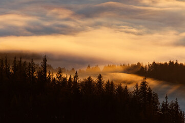 Brouillard et lever du soleil sur les Vosges