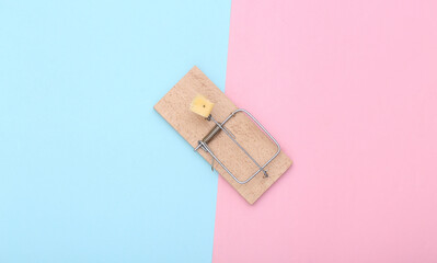 Mousetrap with cheese on pink blue pastel background.