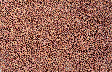 Small brown seeds from grape berries lie on the table surface. Close-up.