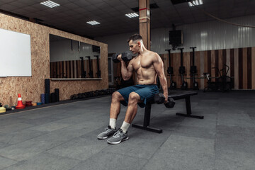 Muscular man is exercising with heavy dumbbells, training biceps while sitting on a bench in the...