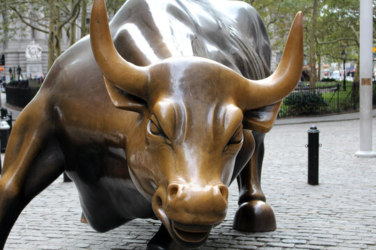 Charging Bull