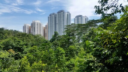 Obraz premium Hochhäuser hinter Bäumen in Singapur