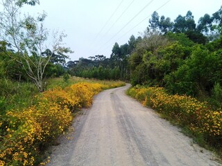 road in the mountains