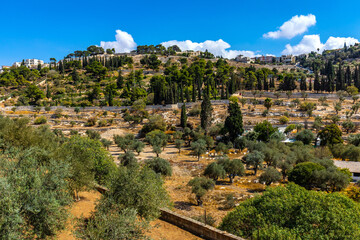 Panoramic view of Orson Hyde Memorial Garden on Mount of Olives, in Kidron reiver valley near...